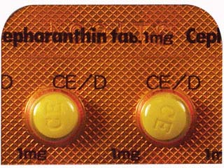 セファランチン錠1mg