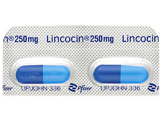 リンコシンカプセル250mg