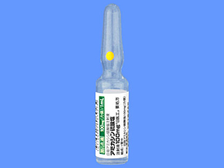 アミカシン硫酸塩注射液100mg「日医工」