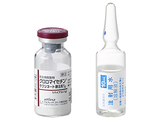 クロロマイセチンサクシネート静注用1g