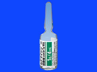 カナマイシン硫酸塩注射液1g「明治」