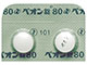 ペオン錠80