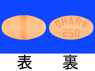 ネオドパストン配合錠L250