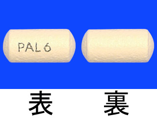 インヴェガ錠6mg
