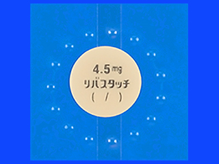 リバスタッチパッチ4.5mg