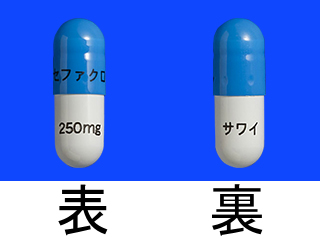 セファクロルカプセル250mg「SW」